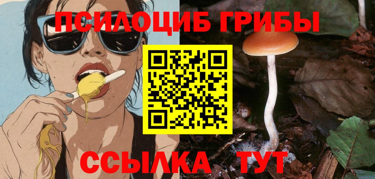 Рославль  Галлюциногенные грибы Magic Shrooms  Псилоцибиновые грибы Psilocybe  Вход с VPN 